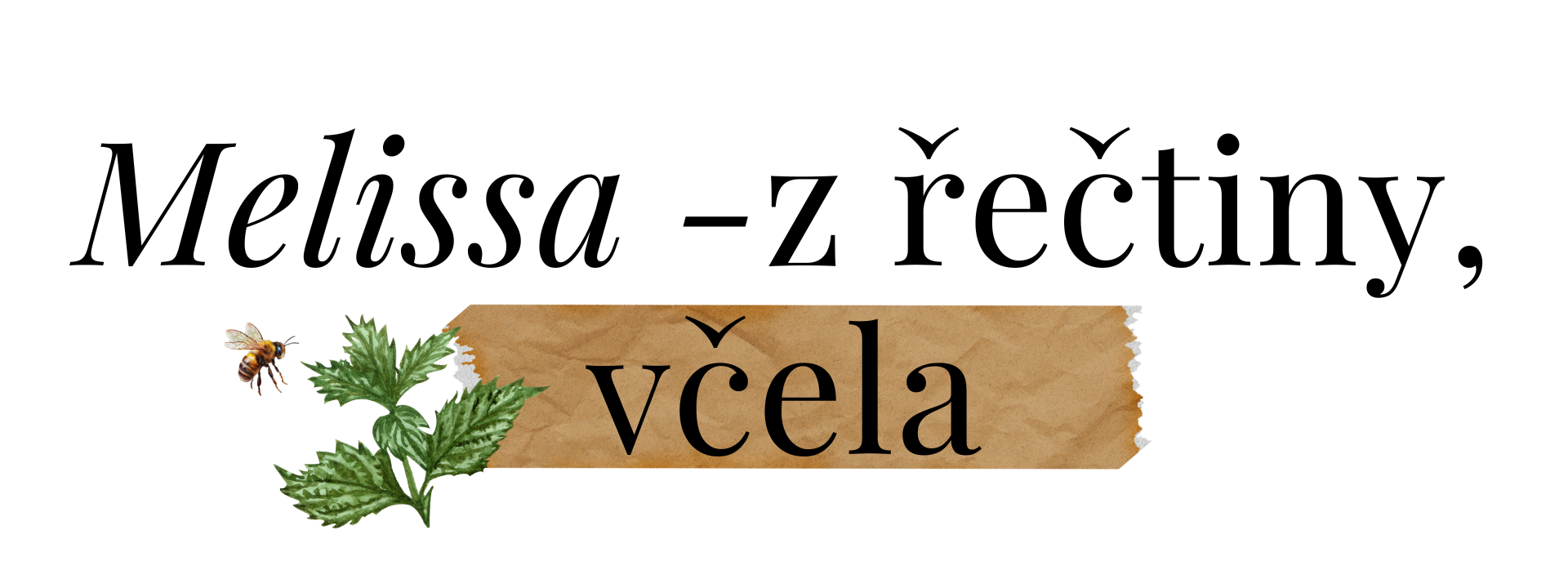 podzime (14)